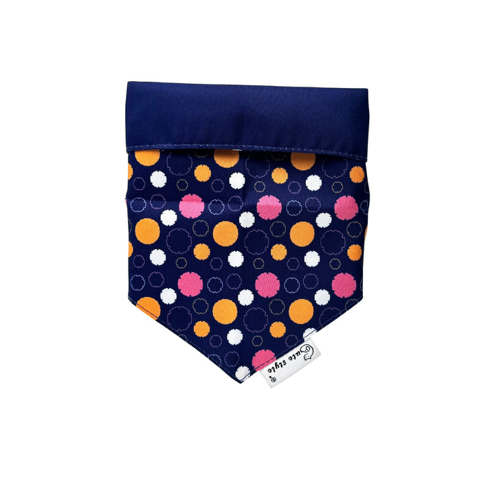 キュートスタイ-アオイヒメ