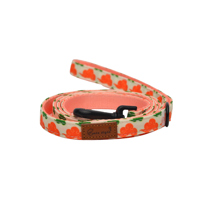 キュートリード-ショウウン