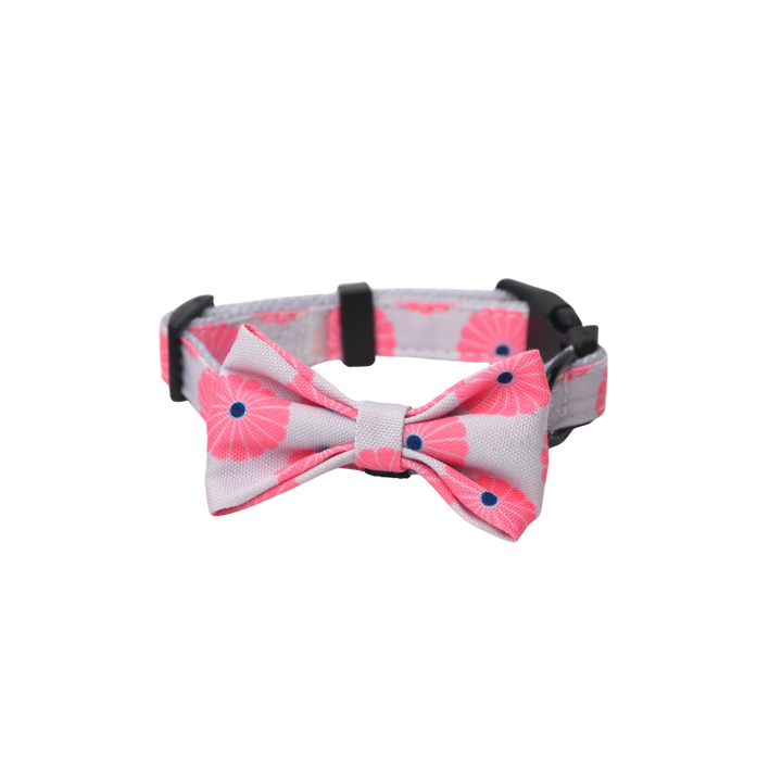 キュートボータイ＆首輪-ハナアカリ