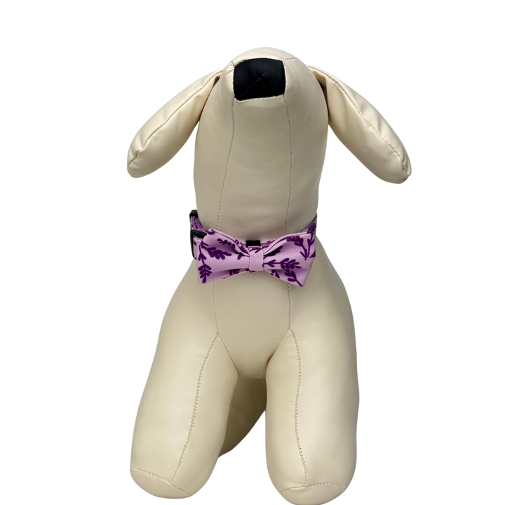 キュートボータイ＆首輪-ムラサキ