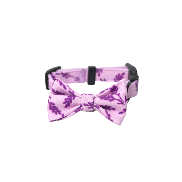 キュートボータイ＆首輪-ムラサキ