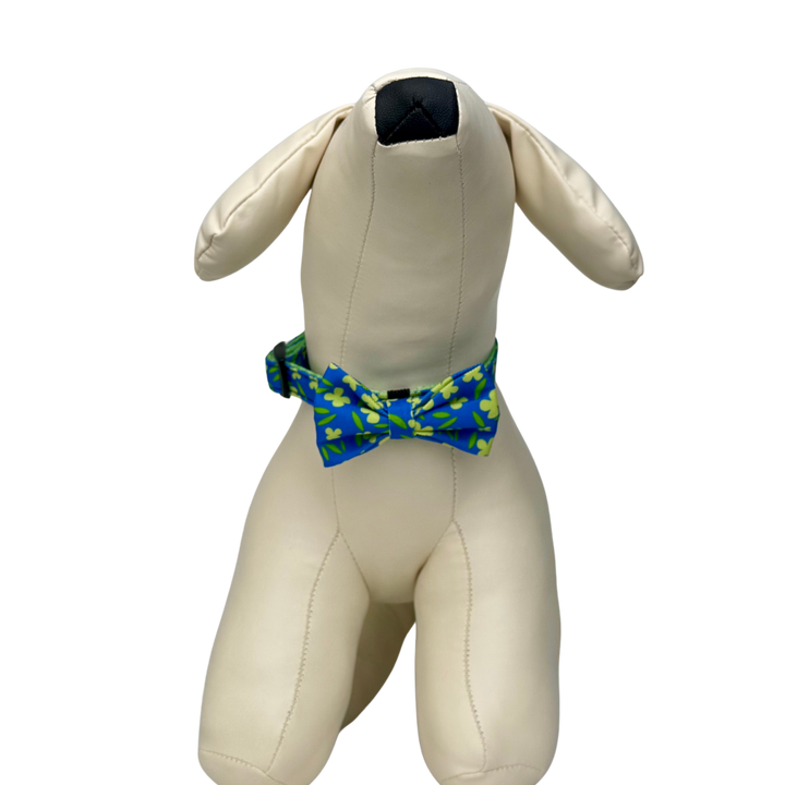 キュートボータイ＆首輪-スエツム