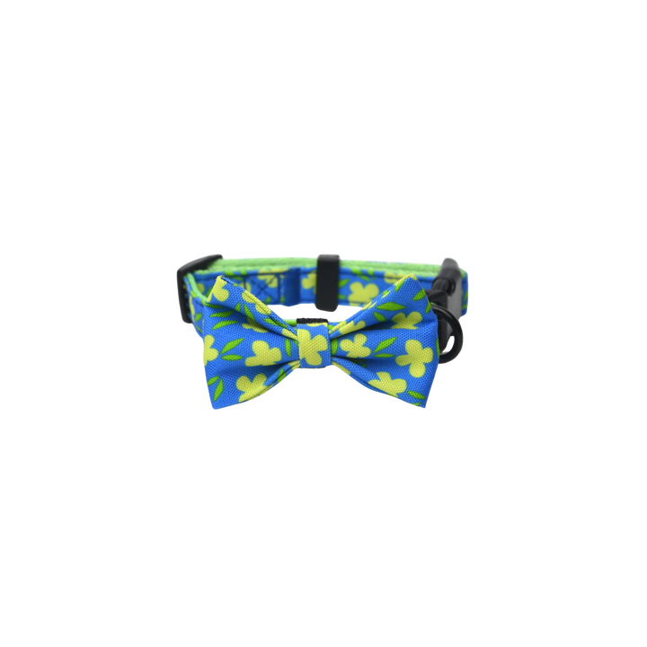 キュートボータイ＆首輪-スエツム