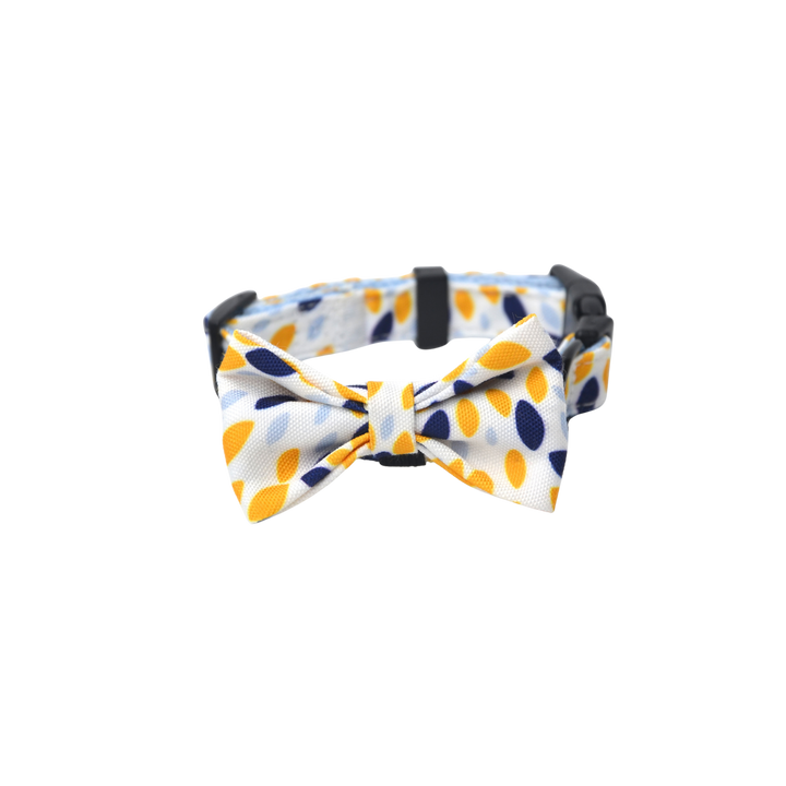 キュートボータイ＆首輪-ヒカル