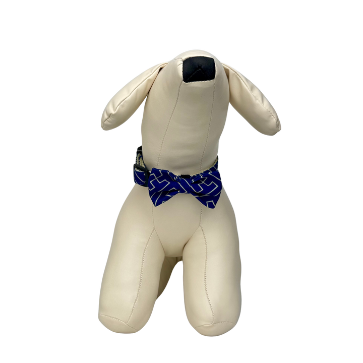 キュートボータイ＆首輪-アカシ