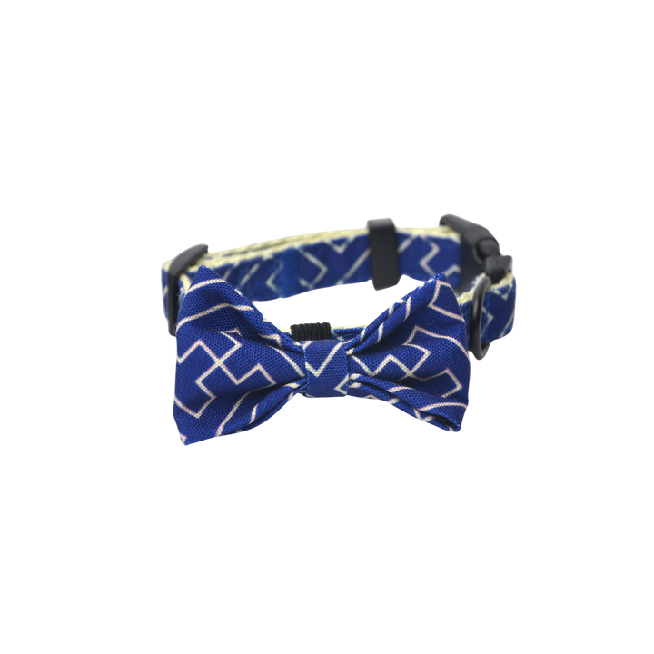 キュートボータイ＆首輪-アカシ